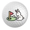 JUMBO SPORTS PAASHAAS Golfbal -Boetiekgolfwinkel 0562673016