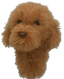 Daphne HEADCOVER DOODLE DOG