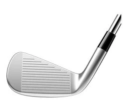 Taylormade P790 IJzerset True Temper Dynamic Gold -Boetiekgolfwinkel 3070011910 3